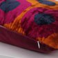 Silk Ikat Velvet Courts Dots Motif Cushion